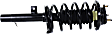 Front, Passenger Side Fully Loaded Strut, FWD, Non SVT