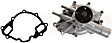 Water Pump, 5.0L/5.8L Engines