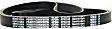 Main Drive Serpentine belt