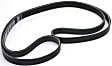 Main Drive Serpentine belt