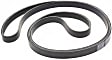 Main Drive Serpentine belt