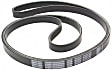 Main Drive Serpentine belt