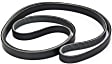 Main Drive Serpentine belt