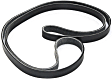 Main Drive Serpentine belt