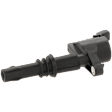 Ignition Coil, 8 Cyl., 4.6L Engine