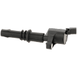 Ignition Coil, 8 Cyl., 4.6L Engine