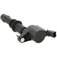 Ignition Coil, 8 Cyl., 4.6L Engine