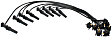 Spark Plug Wire, 8 Cyl., 4.6L Engine