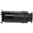 Rear, Driver or Passenger Side Air Spring, Sold Individually