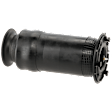 Rear, Driver or Passenger Side Air Spring, Sold Individually