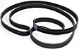Main Drive Serpentine belt, 6 Rib Count