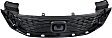 Grille Assembly, Painted Black Shell and Insert