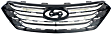 Grille Assembly, Black Shell and Insert