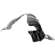 Front, Driver Side Fender Liner, 6 Cyl., 3.5L Engine