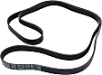 Main Drive Serpentine belt