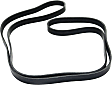 Main Drive Serpentine belt