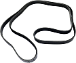 Main Drive Serpentine belt
