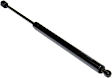 Driver or Passenger Side Trunk Lid Lift Support, 4 Cyl., 2.0L Engine