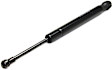 Driver or Passenger Side Trunk Lid Lift Support, 6 Cyl., 3.5L Engine