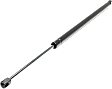 Driver or Passenger Side Trunk Lid Lift Support, 8 Cyl., 5.6L Engine