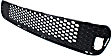 Front, Center Bumper Grille, Black, SRT8 Model, 8 Cyl., 6.4L Engine