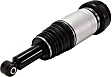 Rear, Driver or Passenger Side Air Strut, With Air Spring, 8 Cyl., 4.2L Engine
