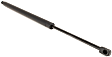 Driver or Passenger Side Liftgate Lift Support