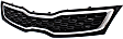 Grille, Black, 4 Cyl., 1.6L Engine