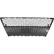 2014 Lexus IS250 Base - Front Bumper Grille, For Models With F Sport Package, Gray