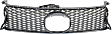 2013-2015 Lexus GS350 - Grille, Gray, 6 Cyl., 3.5L Engine