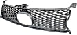 2013-2015 Lexus GS350 - Grille, Gray, 6 Cyl., 3.5L Engine