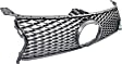 2013-2015 Lexus GS350 - Grille, Gray, 6 Cyl., 3.5L Engine