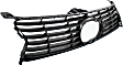 Grille Assembly, Gray Shell and Insert, Base Model, 6 Cyl., 3.5L Engine