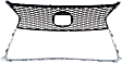 Grille, Chrome Shell with Black Insert, 8 Cyl., 4.6L Engine