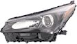 Driver Side Headlight, with Bulb, Halogen, Clear Lens