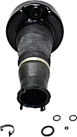 Front, Driver or Passenger Side Air Spring, 8 Cyl., 4.6L Engine