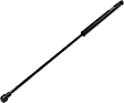 Driver or Passenger Side Liftgate Glass Lift Support