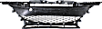 Front Bumper Grille, Gray, 4 Cyl., 2.5L Engine
