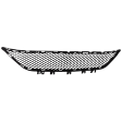 Front, Center Bumper Grille, Textured Black