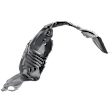 Front, Passenger Side Fender Liner