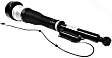 2008 Mercedes Benz S63 AMG - Rear, Passenger Side Shock, With Air Suspension