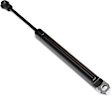 Driver or Passenger Side Trunk lid Lift Support, Convertible