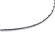 Rear, Passenger Side, Outer Bumper Trim, Chrome