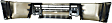 Front Bumper, Chrome, Without Mounting Brackets, SV Model