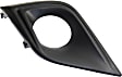 Front, Passenger Side Fog Light Trim, Textured Black, 6 Cyl., 3.5L Engine