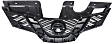 Grille, Painted Black, 4 Cyl., 2.5L Engine