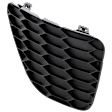 Front, Passenger Side Fog Light Cover, Textured Black, SR Model