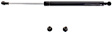 Driver or Passenger Side Hood Lift Support, 6 Cyl., 3.0L Engine