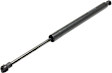 Driver or Passenger Side Hood Lift Support, 6 Cyl., 3.5L Engine