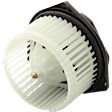 Blower Motor